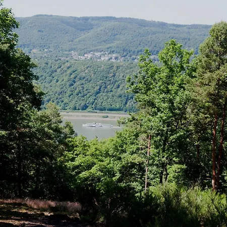 Hotel Im Rheintal 3*