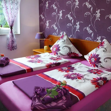 فندق Im Rheintal 3*