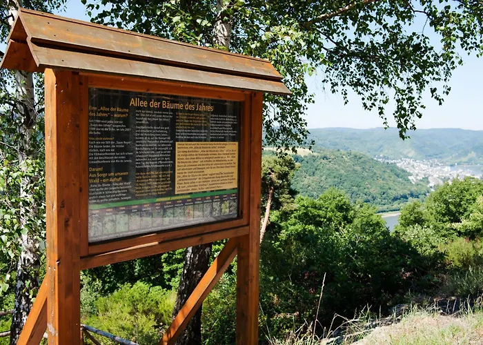 Im Rheintal Kamp-Bornhofen