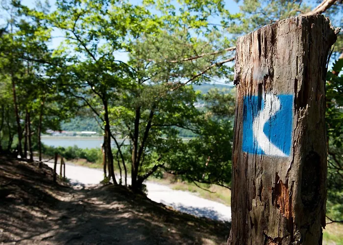 Hotel Im Rheintal Kamp-Bornhofen